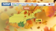 New England fall foliage update