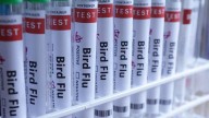 Estados Unidos confirma la presencia de gripe aviar altamente patógena