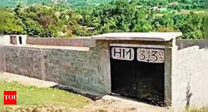 Post-Operation Sindoor, major Pakistan terror groups shifting base to Afghanistan border