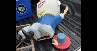 Police seek suspects who vandalized Humpty Dumpty statue at Cape May's Ocean Putt Golf