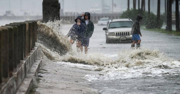 Transportation tax could pay for part of Charleston seawall