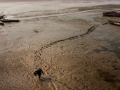 Climate change wreaking havoc on world’s water cycle: UN