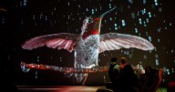 'Conocimiento, cultura y ciencia como motor de cambio social': las nuevas exposiciones de CaixaForum Madrid