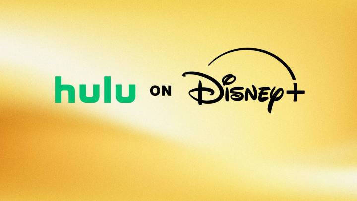 Top 5 TV Shows to Stream on Hulu and Disney+ This Week