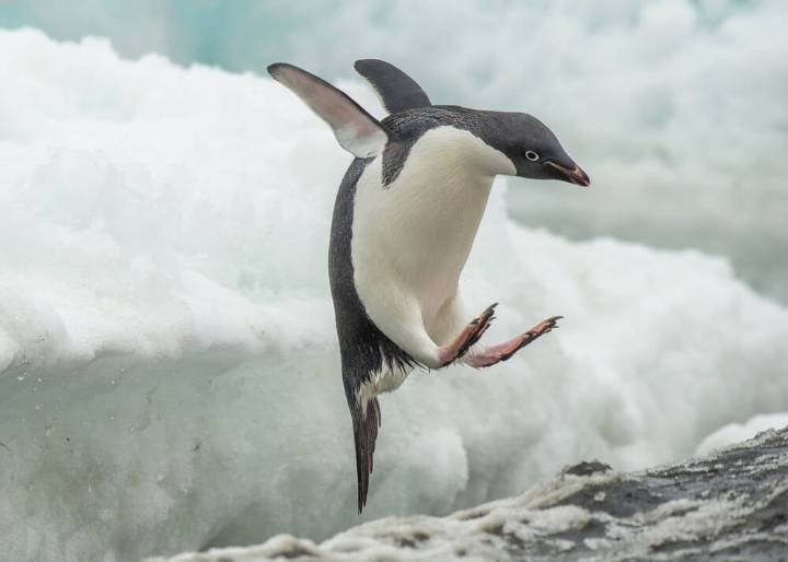 Bcachefs goes DKMS after Torvalds' kernel banishment • The Register