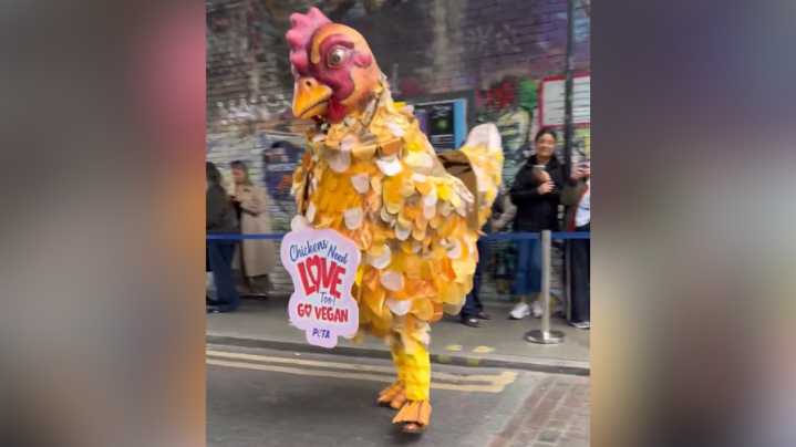 PETA activist crashes 'Chicken Shop Date’ host’s event dressed as a giant chicken 