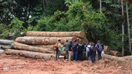 Perú, Brasil y Colombia sellan alianza estratégica para frenar la tala ilegal en la Amazonía