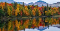 How Is Climate Change Impacting Fall Foliage?
