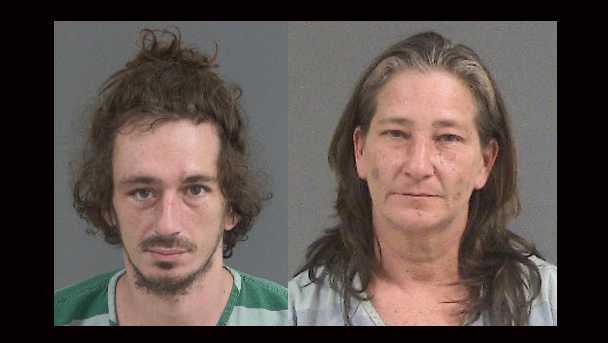 Charleston: Duo posed as housekeepers, pet sitters to steal from clients