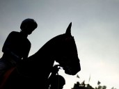 Trabajador denunció malas prácticas en hipódromo y lo despidieron: Corte ordena indemnización de $5,7 millones