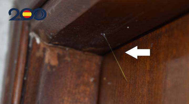 Desmantelan una red que robaba en viviendas previamente marcadas con un hilo ‘invisible’