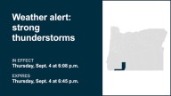 Update: Look for nickel-sized hail with thunderstorms in Siskiyou Mountains and Southern Oregon Cascades Thursday