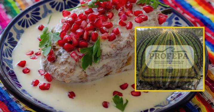 Mes patrio: Profepa advierte sobre el uso del acitrón en los tradicionales chiles en nogada