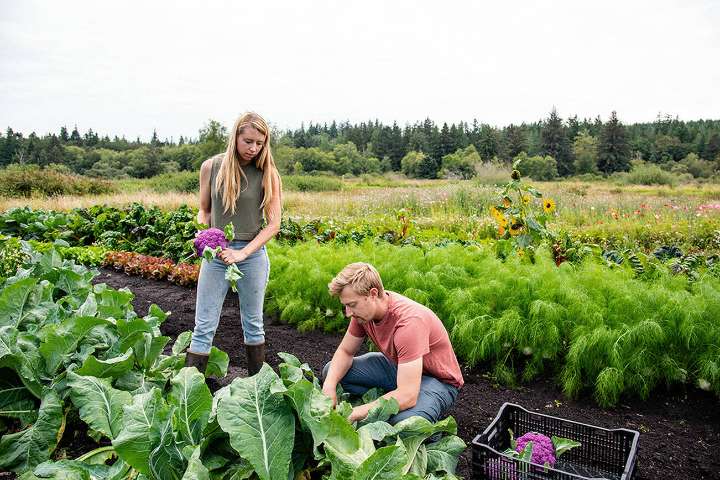 Jefferson County farm tour set this weekend