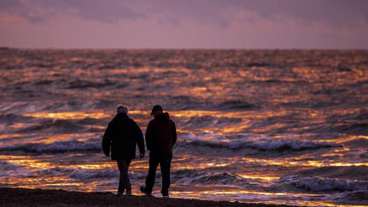 Marine life thriving amid Baltic Sea WW2 explosives