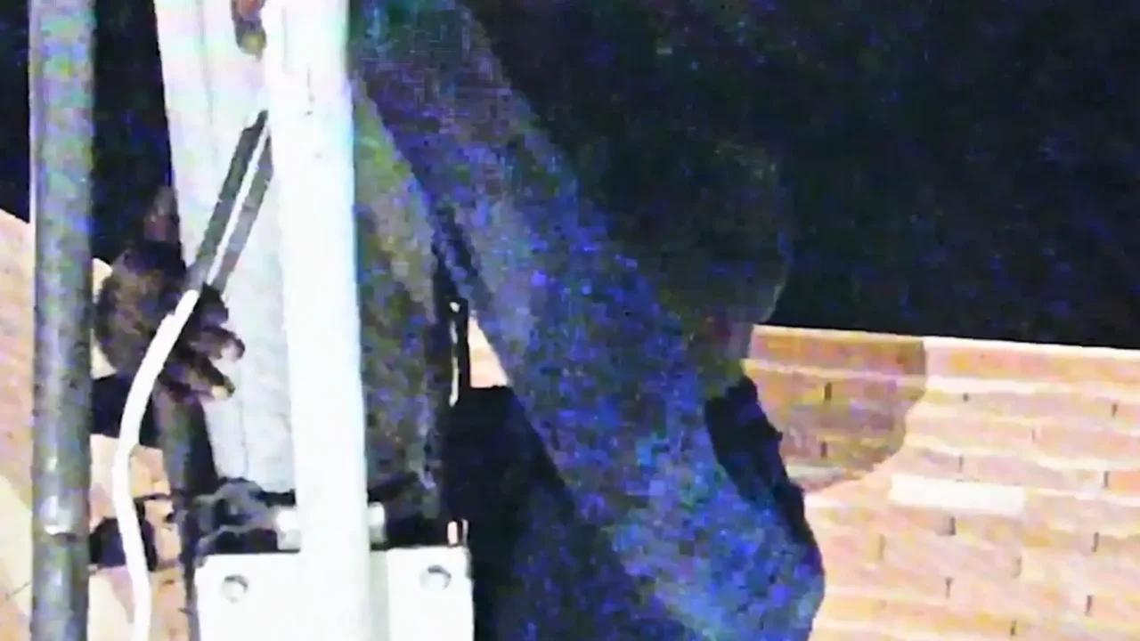 Cayó el 'Hombre Araña del Siete de Agosto': trepó 15 metros para dañar una cámara y terminó grabado