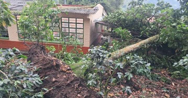 Árboles aplastaron parte de la escuela en vendaval en el occidente de Caldas