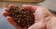 The story of St. Louis coffee: culture, community and history