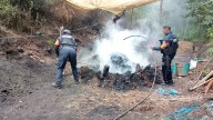 Detectan Nueve Hornos Utilizados para Deshidratación Ilegal de Madera en Puebla