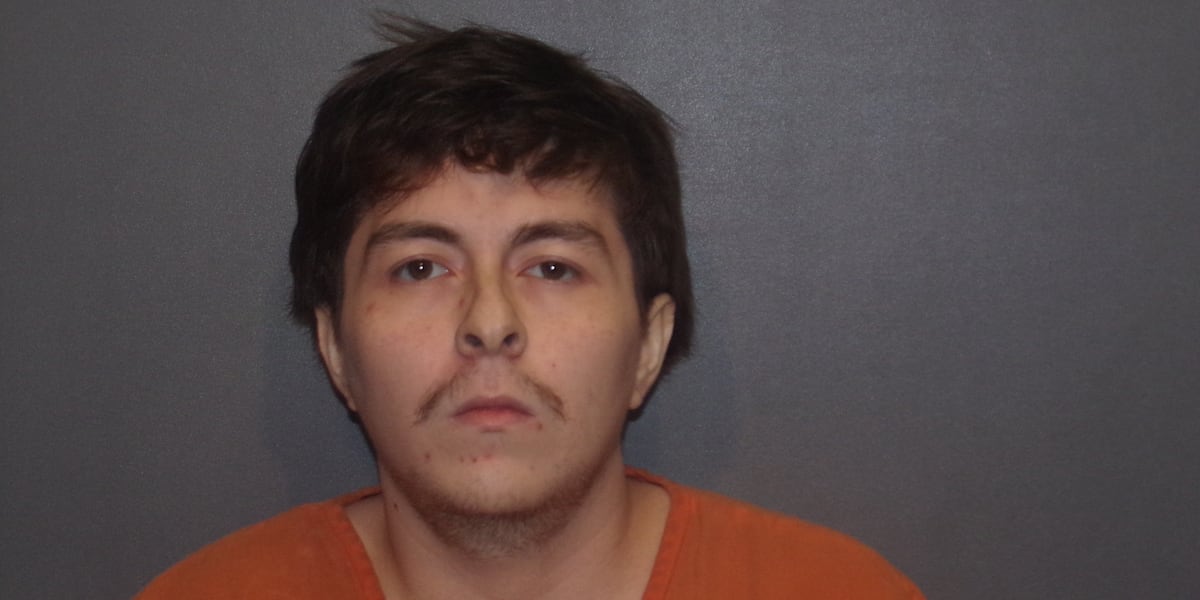 Dog owner accused of holding driver at gunpoint, forcing him to dig grave after hitting dog with car