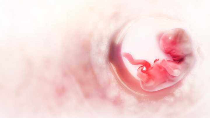 Karnataka targets sharp cut in maternal deaths, experts call for tech