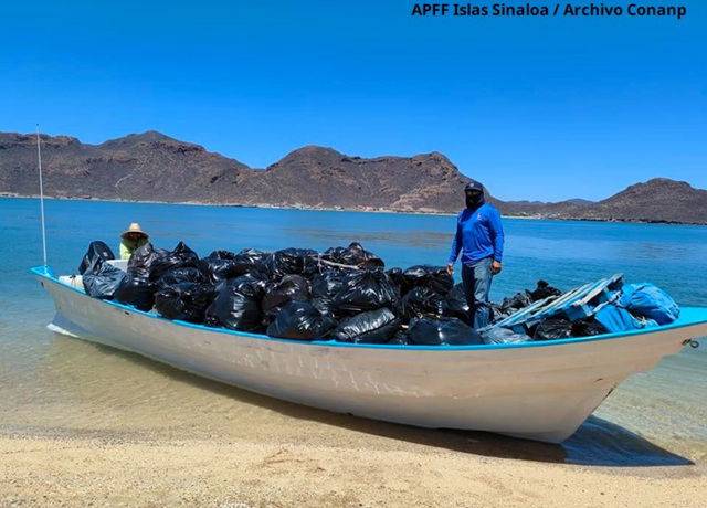 Conanp da resultados de la Estrategia Nacional Playas y Costas Limpias en el Noroeste y Alto Golfo de California