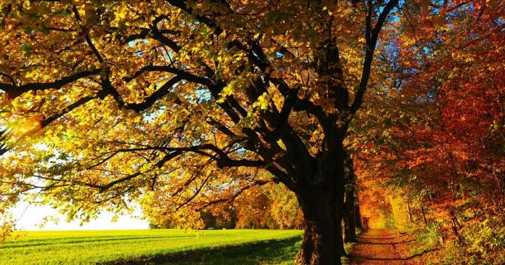 Fall begins in one week