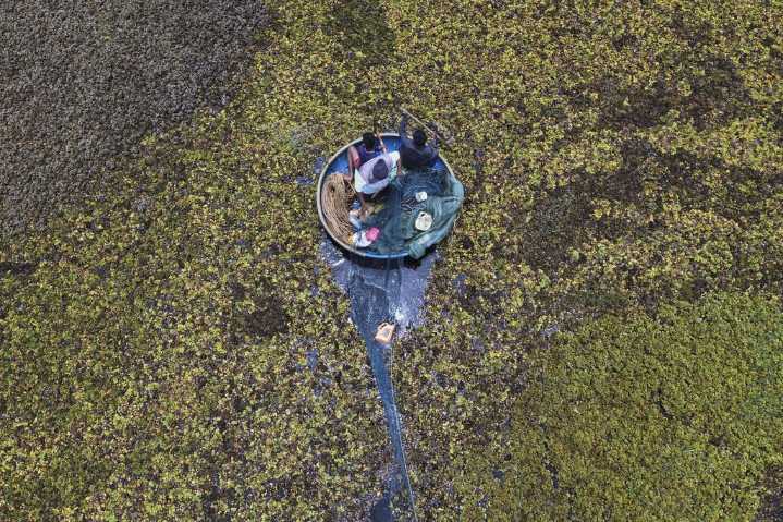 As climate risks grow, India’s Bengaluru is trying to save its vanishing lakes
