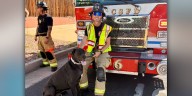 ‘Ruff morning:’ Colorado Springs firefighters take care of dog after car crash