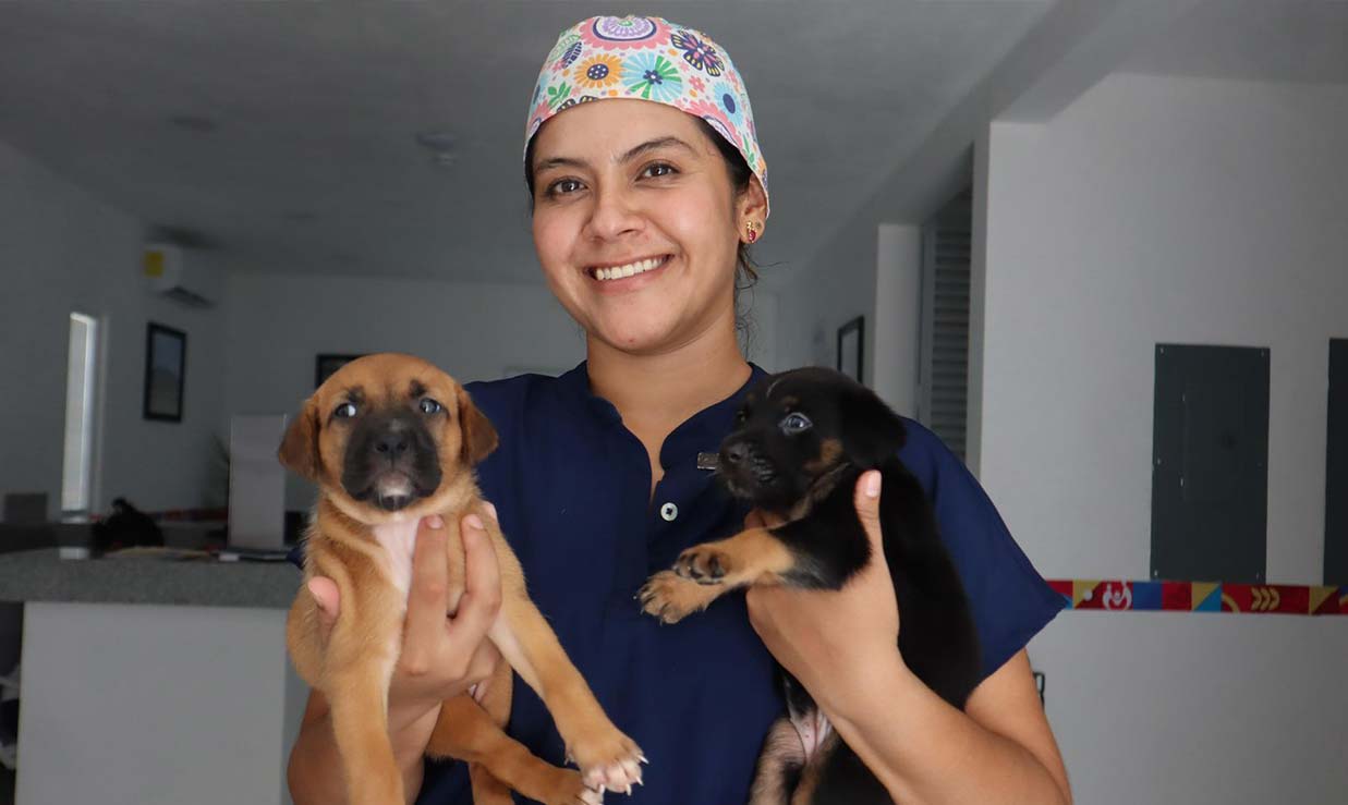 Centro de Bienestar Animal de Isla Mujeres brinda servicios accesibles para mascotas durante toda la semana