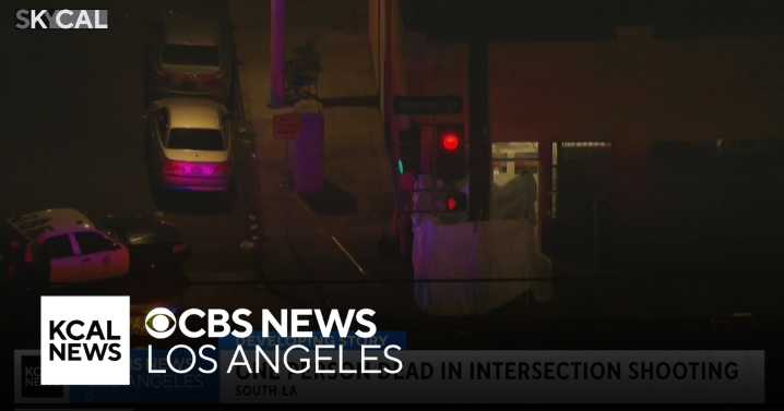 Man shot and killed in South Los Angeles intersection