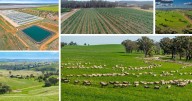 All the latest listings on the NSW rural property market