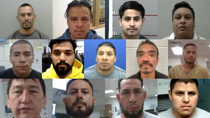 ICE arrests 13 in Chicago during Operation Midway Blitz: 'Worst of the worst'