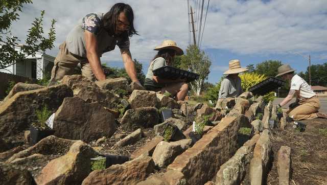 Drier, warmer climate boosts interest in low