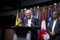 Former MPs launch volunteer effort to renew NDP ahead of leadership race