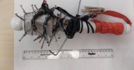 Mugger caught with homemade wooden weapon covered in nails