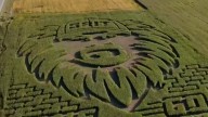 Michigan farms feature fall corn mazes. Where to find them