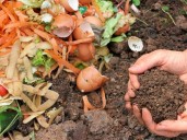 Cuáles son los mejores fertilizantes naturales para tus plantas en cualquier época del año