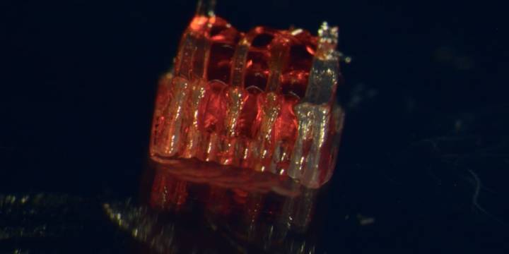 La impresión 3D ofrece esperanza para las lesiones de médula espinal