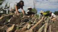 Drier, warmer climate boosts interest in low