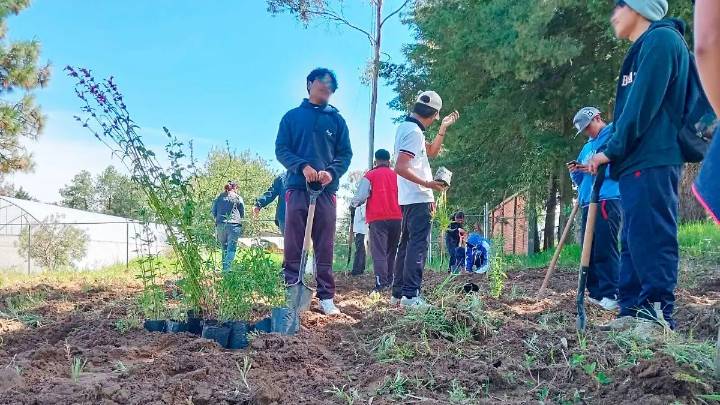 Impulsan jardines polinizadores en Tetlanohcan