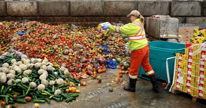Encuesta sobre el Desperdicio de Alimentos indica que el pan, las frutas y las verduras son los más desechados por los chilenos