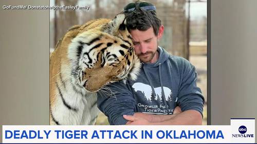 Caretaker killed by tiger at wildlife preserve in Oklahoma