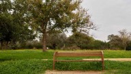 El rincón secreto de Sevilla perfecto para pasear entre la naturaleza en las tardes de otoño
