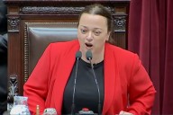 Ante la ausencia de Martín Menem. La corrida de Cecilia Moreau para abrir la sesión en Diputados