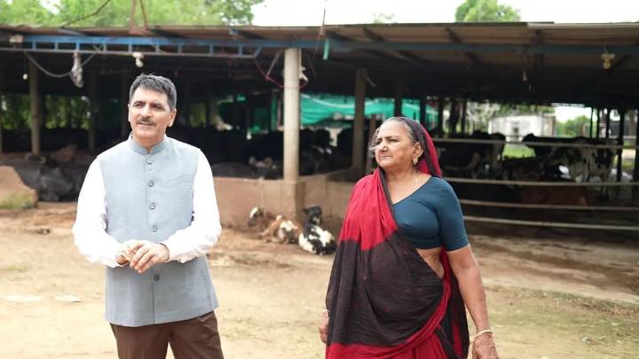 Meet the dairy queens of Gujarat who are earning crores from cattle