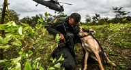 Colombia | Qué significa que Estados Unidos retire a Colombia la certificación en la lucha contra las drogas y el narcotráfico | Gustavo Petro 