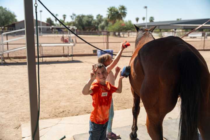 Area equine therapy farm looking for donations