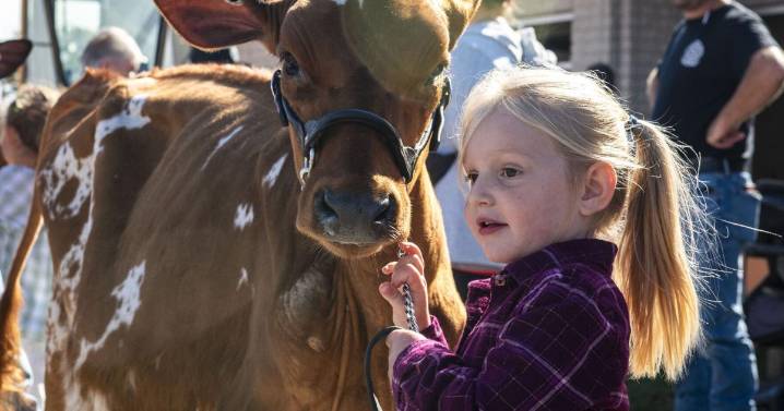 Thurmont & Emmitsburg Community Show is 'a family affair'