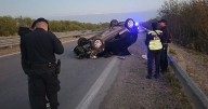 Terrible vuelco en ruta salteña: se llevó puesta una vaca y la mató